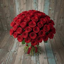 Букет 55 Красных роз Фридом #REPLACE_PRED# Сива