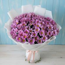 Букет цветов из:  Хризантемы в Сива