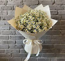 Букет цветов из:  Ромашки #REPLACE_PRED# Сива