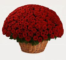 Премиум букет из: Розы в Сива