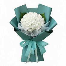 Букет цветов из:  Гортензия #REPLACE_PRED# Сива